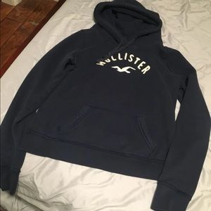 Hollister Hoodie